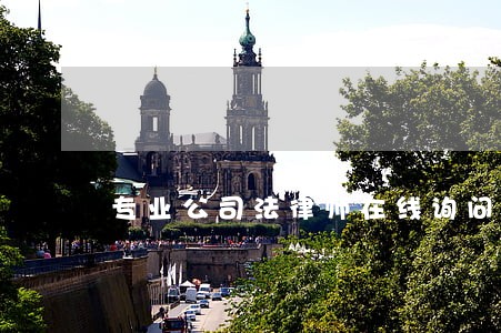 专业公司法律师在线询问好评如潮 专业公司法律师在线询问好评如潮