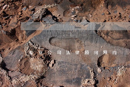 专业公司法律顾问预约 专业公司法律顾问预约