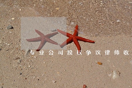 专业公司股权争议律师收费多少 专业公司股权争议律师收费多少