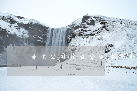 专业公司股权分割律师多少钱