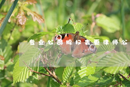 专业公司股权变更律师公司 专业公司股权变更律师公司