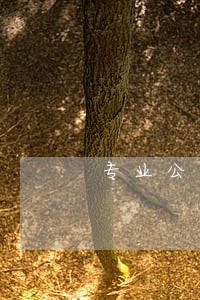 专业公司股权结构律师费用标准 专业公司股权结构律师费用标准