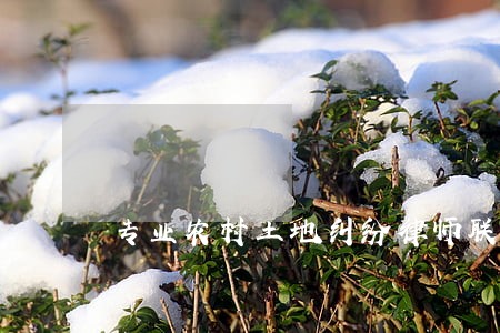 专业农村土地纠纷律师联系方式