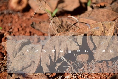 专业农村宅基地纠纷律师在哪里 专业农村宅基地纠纷律师在哪里