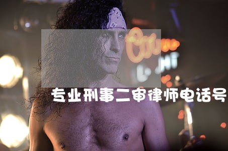 专业刑事二审律师电话号码