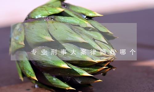 专业刑事大案律师找哪个 专业刑事大案律师找哪个