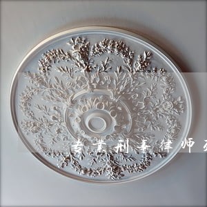 专业刑事律师列表 专业刑事律师列表