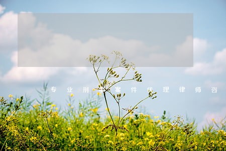 专业刑事案件代理律师咨询 专业刑事案件代理律师咨询