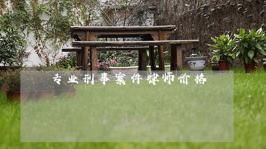 专业刑事案件律师价格 专业刑事案件律师价格