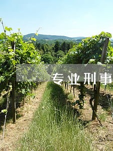 专业刑事案件律师在线免费咨询