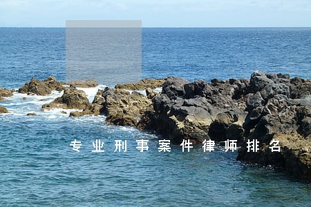 专业刑事案件律师排名 专业刑事案件律师排名