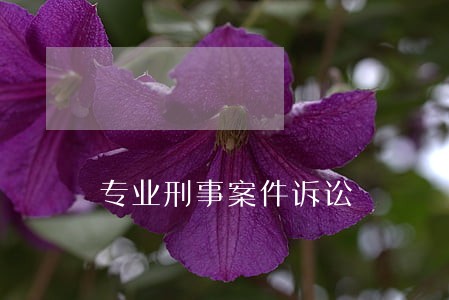 专业刑事案件诉讼 专业刑事案件诉讼