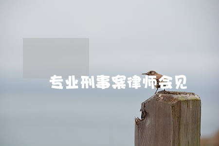 专业刑事案律师会见 专业刑事案律师会见