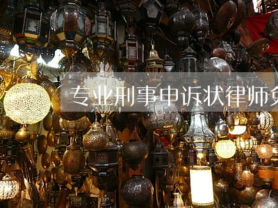 专业刑事申诉状律师免费 专业刑事申诉状律师免费