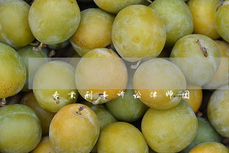 专业刑事诉讼律师团 专业刑事诉讼律师团