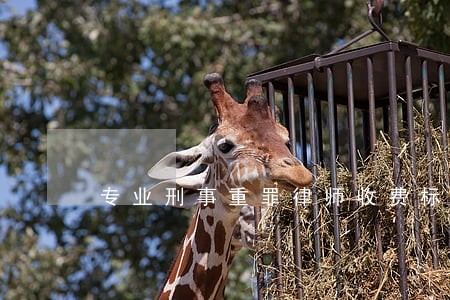 专业刑事重罪律师收费标准 专业刑事重罪律师收费标准