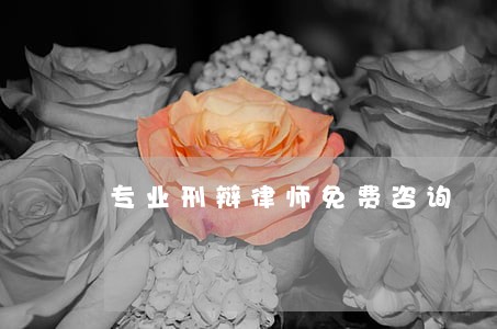 专业刑辩律师免费咨询