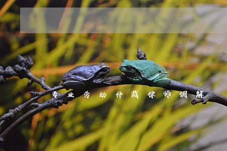 专业劳动仲裁律师调解 专业劳动仲裁律师调解