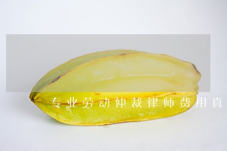 专业劳动仲裁律师费用真诚合作 专业劳动仲裁律师费用真诚合作