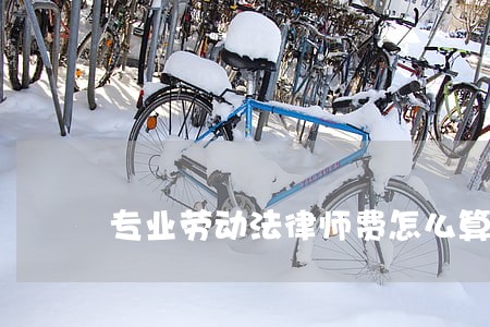 专业劳动法律师费怎么算 专业劳动法律师费怎么算