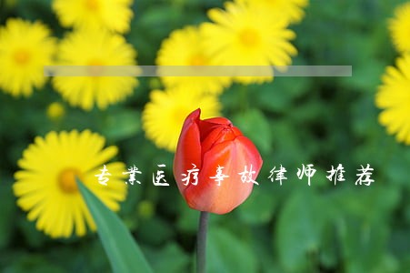 专业医疗事故律师推荐 专业医疗事故律师推荐