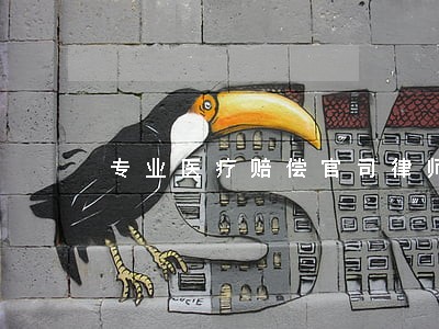 专业医疗赔偿官司律师收费咨询 专业医疗赔偿官司律师收费咨询