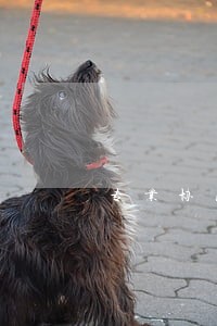 专业协商信用卡逾期是真的吗 专业协商信用卡逾期是真的吗