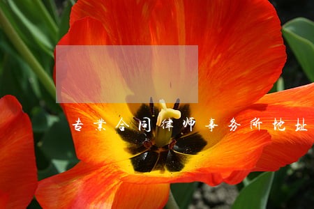 专业合同律师事务所地址 专业合同律师事务所地址