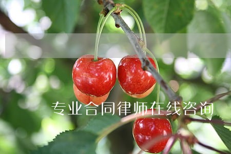 专业合同律师在线咨询 专业合同律师在线咨询