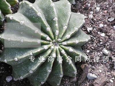 专业商事合同网律师地址 专业商事合同网律师地址
