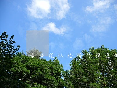 专业团队经济法律咨询 专业团队经济法律咨询