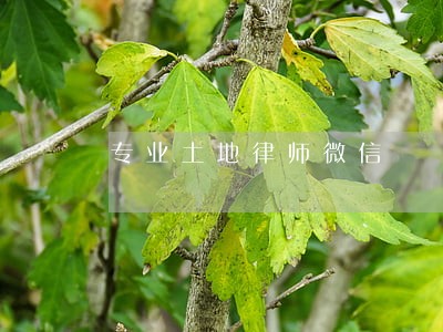 专业土地律师微信 专业土地律师微信