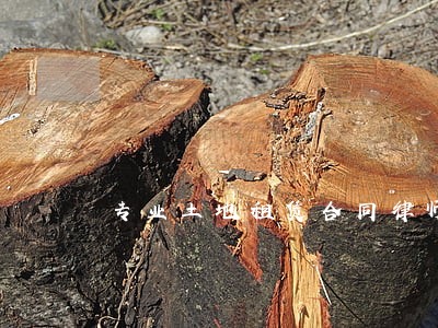 专业土地租赁合同律师