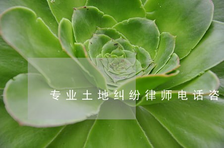 专业土地纠纷律师电话咨询