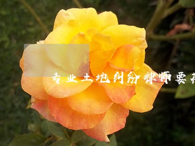专业土地纠纷律师要花多少钱 专业土地纠纷律师要花多少钱
