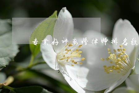 专业好评离婚律师排名欢迎来电 专业好评离婚律师排名欢迎来电