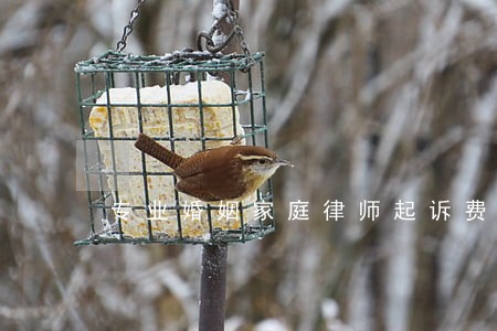 专业婚姻家庭律师起诉费用 专业婚姻家庭律师起诉费用