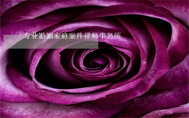 专业婚姻家庭案件律师事务所 专业婚姻家庭案件律师事务所