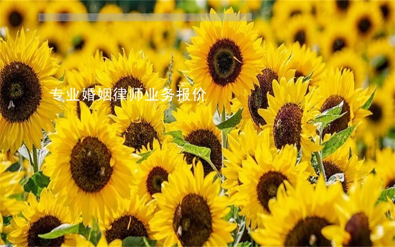 专业婚姻律师业务报价 专业婚姻律师业务报价