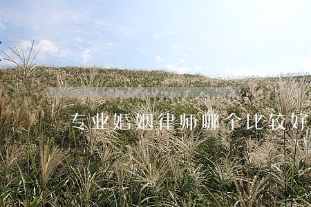 专业婚姻律师哪个比较好 专业婚姻律师哪个比较好