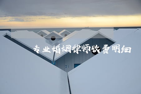 专业婚姻律师收费明细 专业婚姻律师收费明细