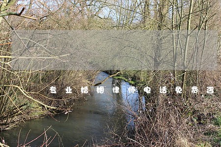 专业婚姻律师电话免费咨询 专业婚姻律师电话免费咨询
