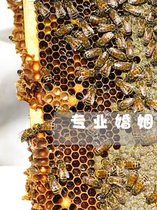 专业婚姻房产分割律师怎么委托 专业婚姻房产分割律师怎么委托