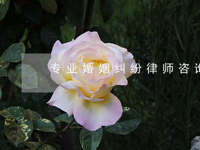 专业婚姻纠纷律师咨询 专业婚姻纠纷律师咨询
