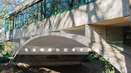 专业婚姻纠纷律师网站 专业婚姻纠纷律师网站