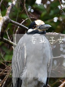 专业子女抚养权律师联系电话 专业子女抚养权律师联系电话