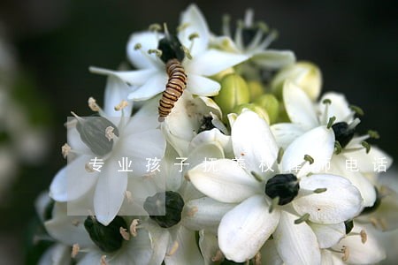 专业孩子抚养权律师电话咨询 专业孩子抚养权律师电话咨询