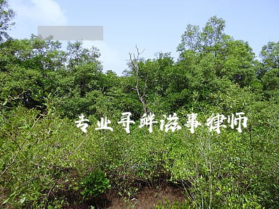 专业寻衅滋事律师 专业寻衅滋事律师