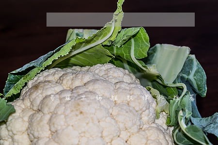 专业工伤维权律师推荐