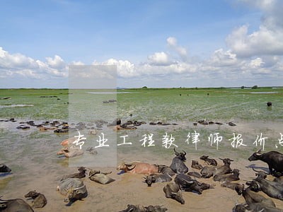 专业工程款律师报价点击查看详情 专业工程款律师报价点击查看详情